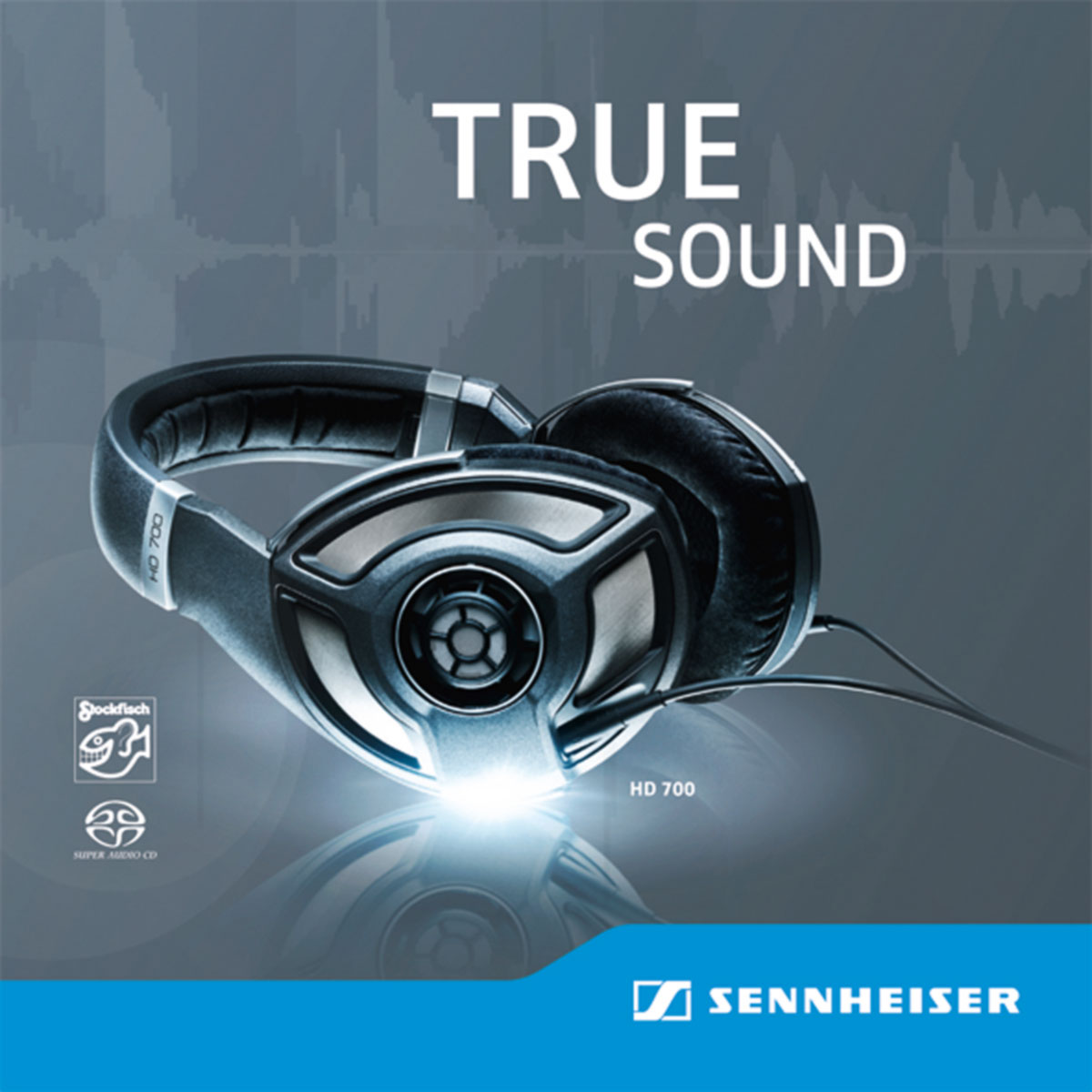 Sennheiser HD 700 - True Sound